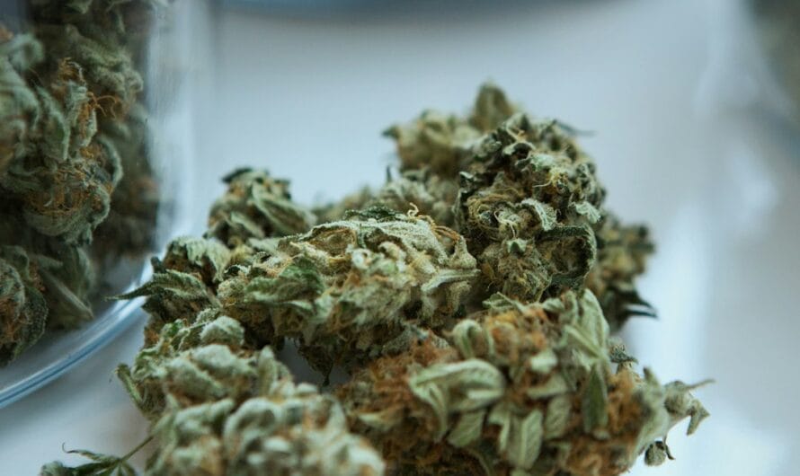 Quand le facteur sonne toujours deux fois… avec 6kg de cannabis !