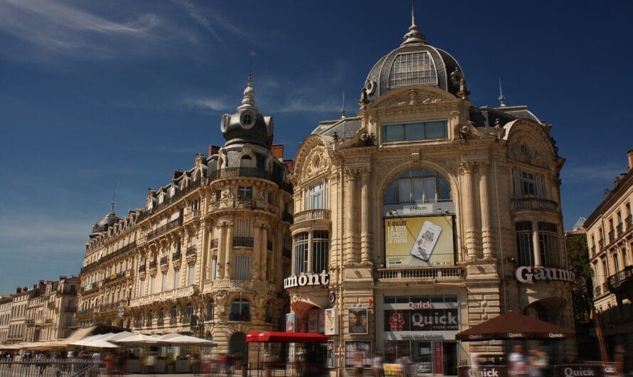 Un Sanglier en Quête d’un Nouveau Logement à Montpellier: L’Insolite Colocataire du Quatrième Étage!