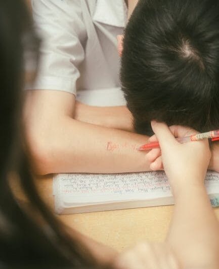 Un blaireau fait des siennes dans une école de Nevers !
