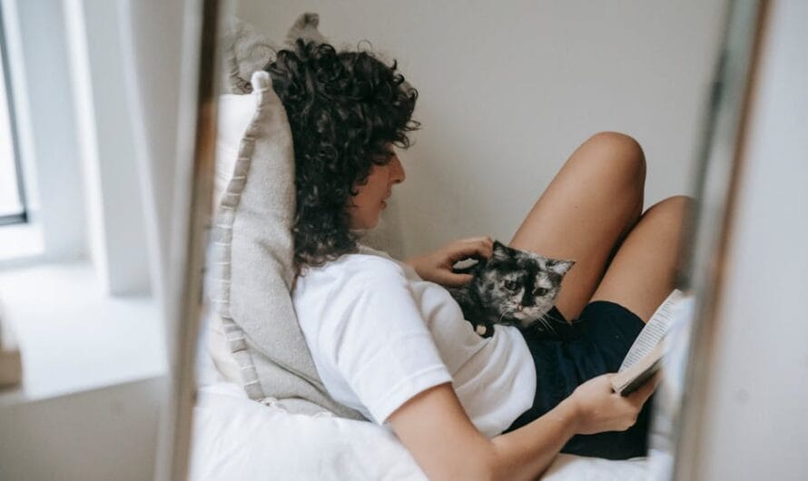 Un grand-père déteste les chats… jusqu’à ce qu’un chaton débarque !