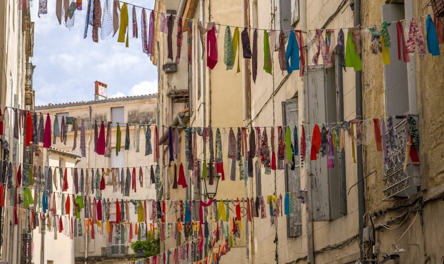 Drôle de cambriolage à Montpellier : des ados enterrent le butin au pied d’un arbre