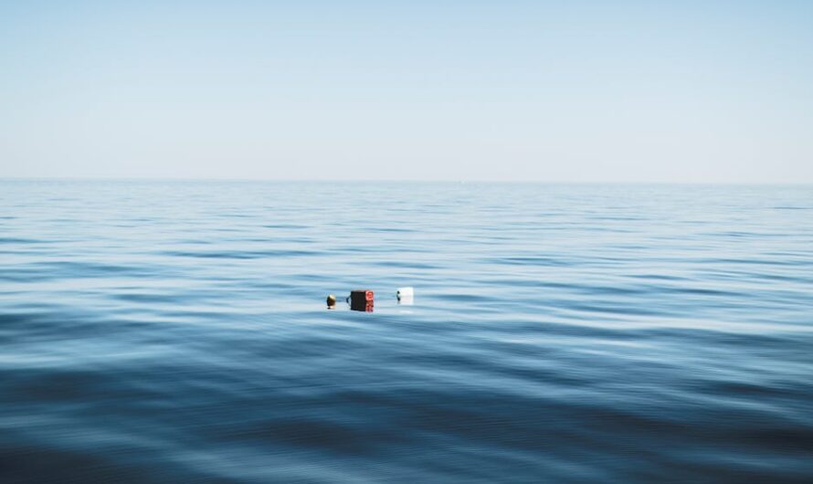 La folle course des OFNI à La Seyne : quand bidons et cellophane s’affrontent sur l’eau !