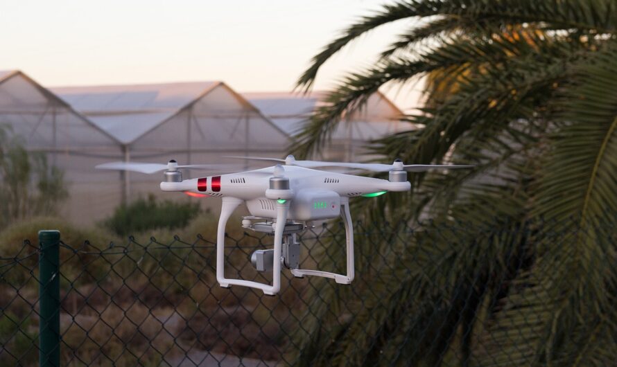 Quand les drones prennent leur envol pour lutter contre les goélands