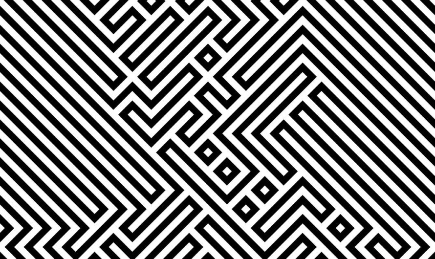 Une drôle d’illusion dans le Marais Audomarois