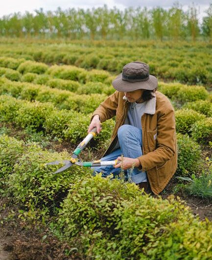 Quand les hommes-buissons s’incrustent dans les jardins officiels !