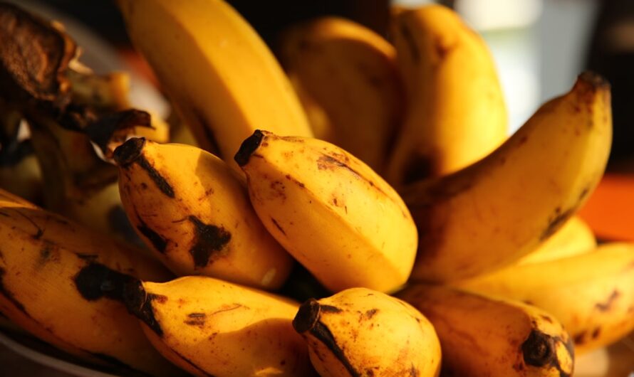 La banane, ce fruit courbé qui nous fait tant sourire !