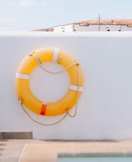 Des sangliers prennent d’assaut une piscine allemande : le maître-nageur n’en croit pas ses yeux !