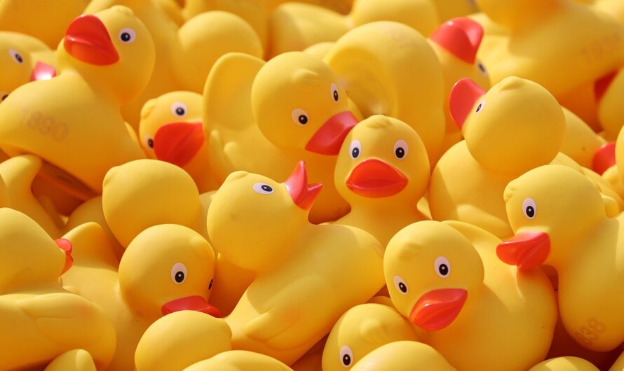 Une course de canards en plastique pour sauver des poules : l’incroyable Duck Race de Châteauroux !