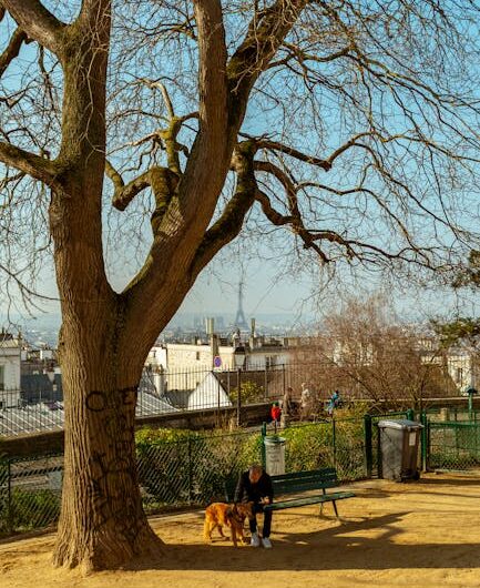 À Montmartre, un parc canin qui fait le buzz (et des jaloux)