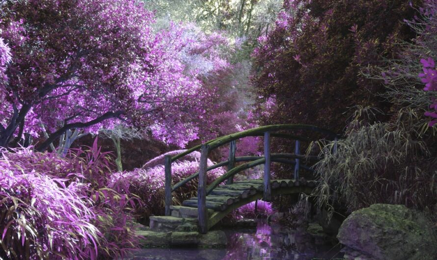 Quand un marchand de matériaux transforme son jardin en musée insolite : l’histoire d’Henri le poète vagabond