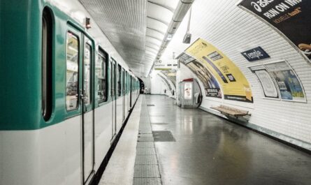 150 euros d'amende pour une plante dans le métro : l'histoire qui fait fleurir la polémique à Paris
