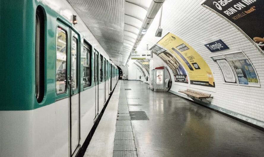 150 euros d’amende pour une plante dans le métro : l’histoire qui fait fleurir la polémique à Paris