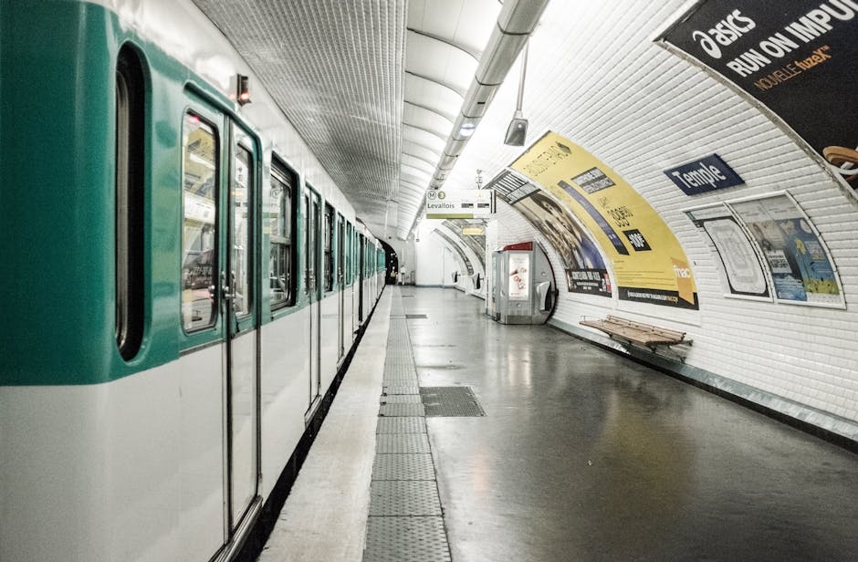 150 euros d'amende pour une plante dans le métro : l'histoire qui fait fleurir la polémique à Paris