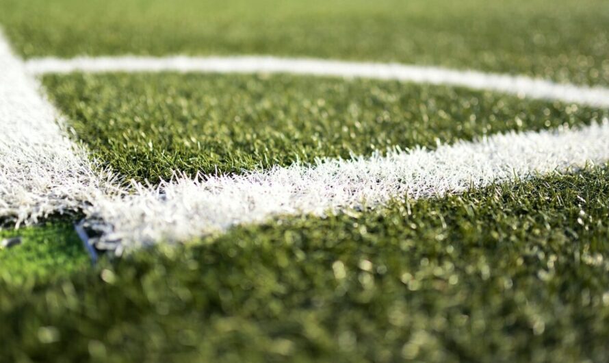 Biarritz Olympique : Achetez un bout de légende pour 10€, la pelouse mythique part en morceaux !