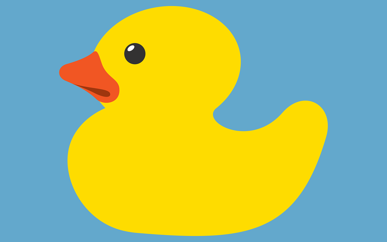Ce canard récidiviste flashé à 52 km/h va vous faire mourir de rire