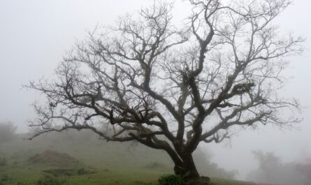 Ces panneaux qui ont un destin hors du commun : quand la nature et l'humour s'en mêlent !