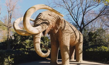 Des mammouths vont défiler pour le 14 juillet : l'incroyable carnaval préhistorique qui affole ce village français !