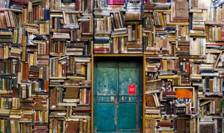 La Bretagne lance son propre livre des records, et c'est complètement délirant !