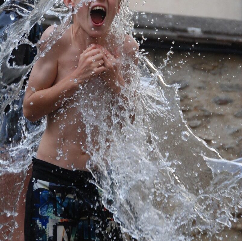 Le Ice Bucket Challenge fait son retour... mais cette fois, nos amis à quatre pattes en font les frais !