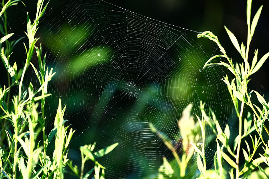 Les Haies de l'Aveyron se Mettent en Robe de Mariée : Quand les Chenilles Jouent aux Décoratrices !