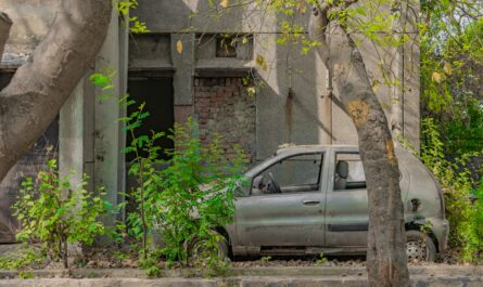 Quand votre voiture se transforme en jardin de moisissures : l'histoire incroyable d'un écosystème sur roues
