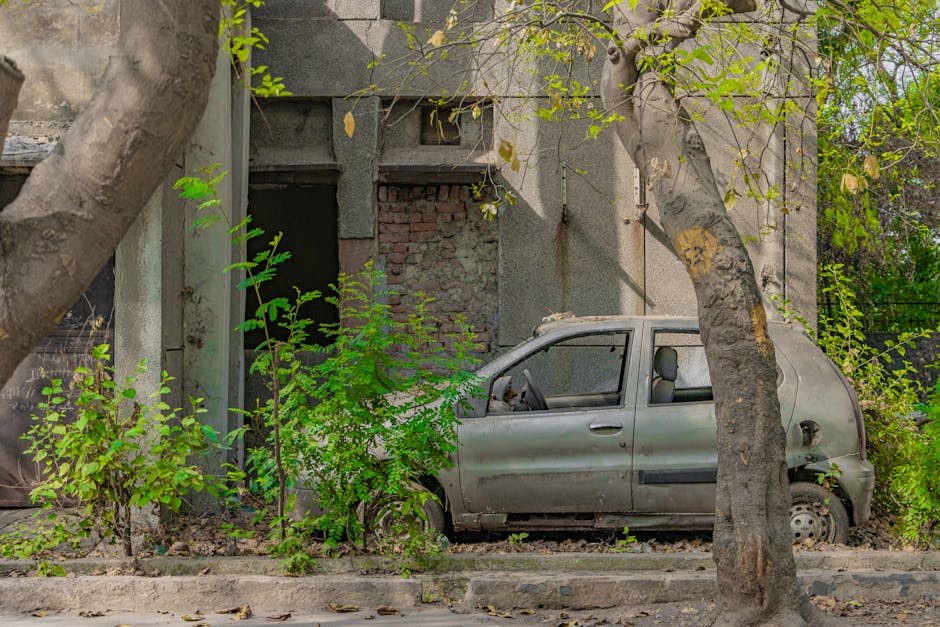 Quand votre voiture se transforme en jardin de moisissures : l'histoire incroyable d'un écosystème sur roues