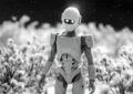 Robots boxeurs en Chine : quand les machines se mettent à se taper dessus (et c'est hilarant) !