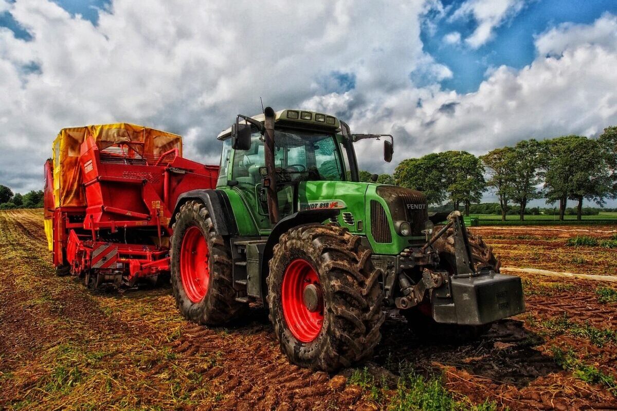 Tracteurs bénis et chenilles tisseuses : quand la France rurale mise sur les superstitions et les phénomènes naturels insolites