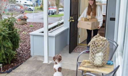 Ces chiens-robots facteurs qui vont révolutionner vos livraisons (ou vous traumatiser à vie)