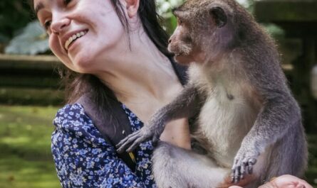Ces photos d'animaux qui font n'importe quoi vont égayer votre journée ! 🐾
