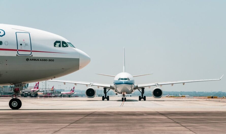 Quand deux pigeons sèment la panique à bord d’un avion : le vol le plus fou de l’année !