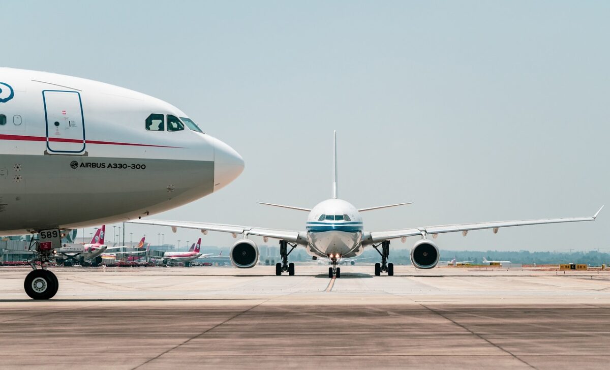 Quand deux pigeons sèment la panique à bord d'un avion : le vol le plus fou de l'année !