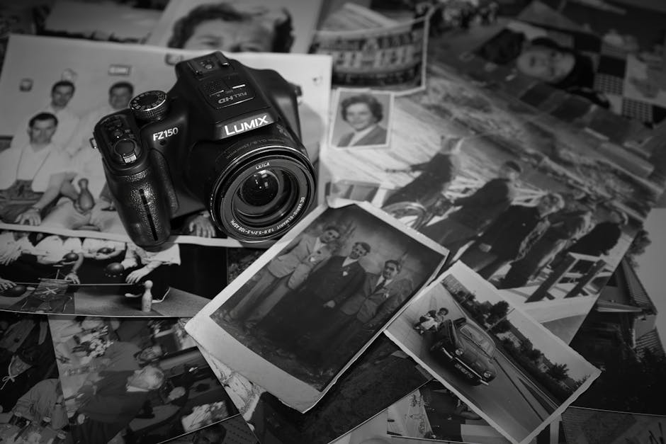 Incroyable : des photos perdues à Hollywood refont surface 12 ans plus tard... en Nouvelle-Zélande !