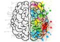 Quand faire des blagues devient une maladie : le syndrome de Witzelsucht expliqué