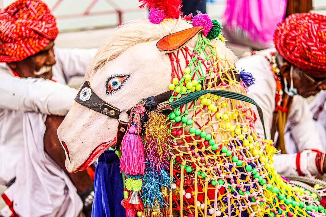 Quand La Poste décore des comédiens pour avoir joué les facteurs à cheval : l'histoire la plus mignonne de l'année ! 🐴📮
