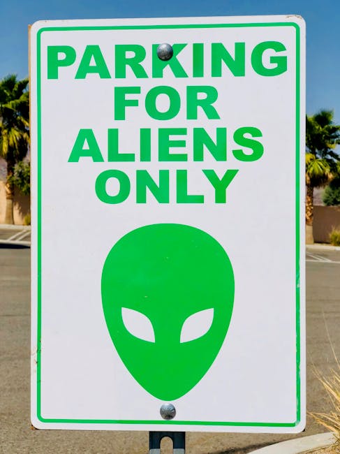 Quand les panneaux de signalisation deviennent des stars de l'humour : le mystérieux "Dave-iation" fait sensation !