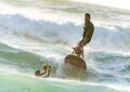 Quand les chiens déferlent sur les vagues : le championnat du monde de surf canin qui fait fureur en Californie !