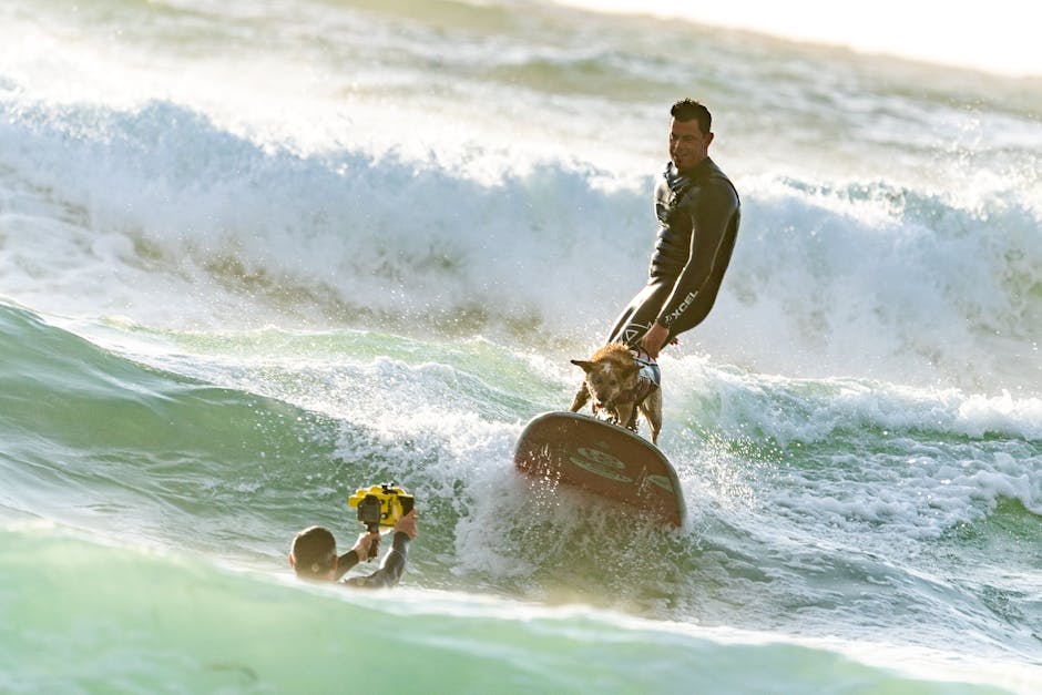 Quand les chiens déferlent sur les vagues : le championnat du monde de surf canin qui fait fureur en Californie !