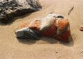 Quand votre galet de plage s'avère être un explosif de 1940 : l'incroyable découverte bretonne