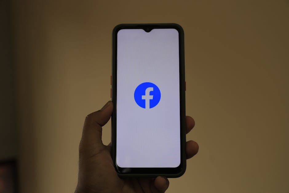 Une restauratrice fait du chantage sur Facebook et récupère ses chaises volées : la méthode qui marche !