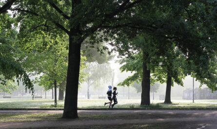Quand Stellantis transforme son usine en piste de course : 1500 coureurs dans les ateliers !