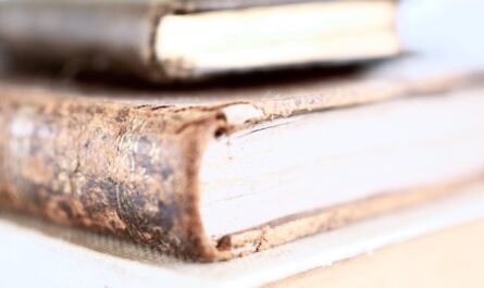 Un livre rendu avec 82 ans de retard : quand Grand-maman oublie de passer à la bibliothèque !