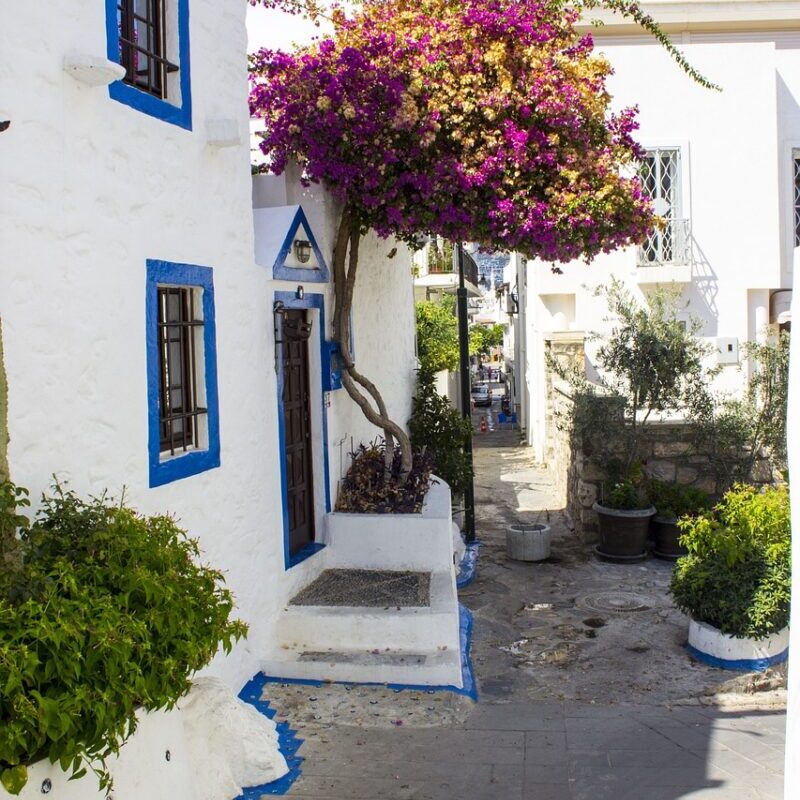 Un singe débarque en sous-sol chez un couple français : "Nous devenons fous !"