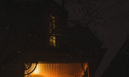 Une limace transforme une nuit paisible en film d'horreur : quand la nature joue les farceurs