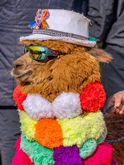 Ces photos d'animaux vont vous faire exploser de rire : les finalistes 2025 du Comedy Wildlife Awards dévoilés !