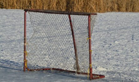 Un but marqué sans filet : quand le hockey devient complètement fou !