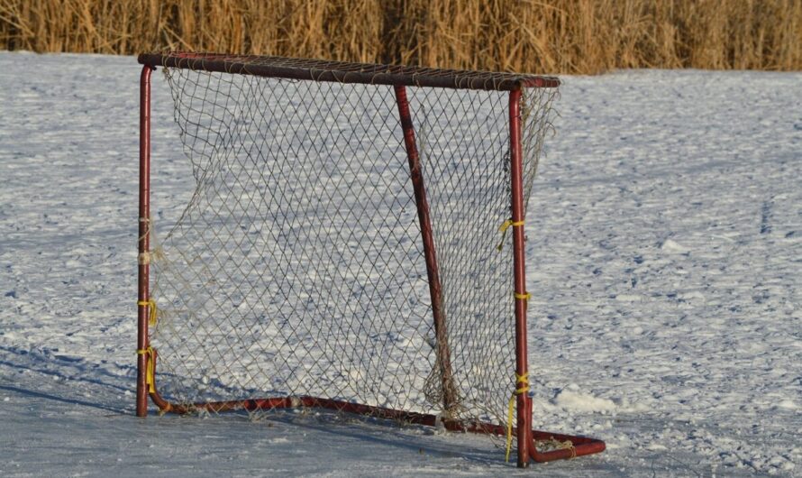Un but marqué sans filet : quand le hockey devient complètement fou !