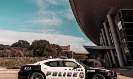 Gaston le wallaby en "garde à vue" : quand la police vosgienne accueille un fugueur à quatre pattes