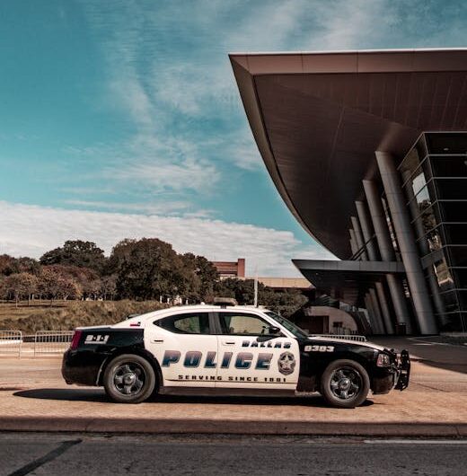 Gaston le wallaby en "garde à vue" : quand la police vosgienne accueille un fugueur à quatre pattes