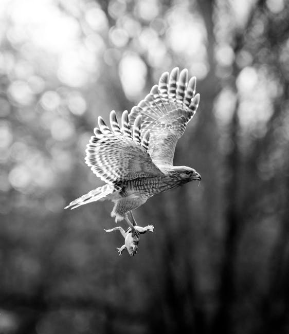 Un aigle largue un chat sur un pare-brise : l'appel au 911 le plus WTF de l'année